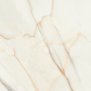 Viena Gold Polished 24x48x9mm Marble Look Porcelain Tile