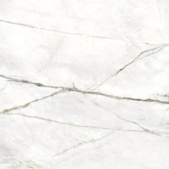 Baltic Green Polished 24x48x9mm Marble Look Porcelain Tile