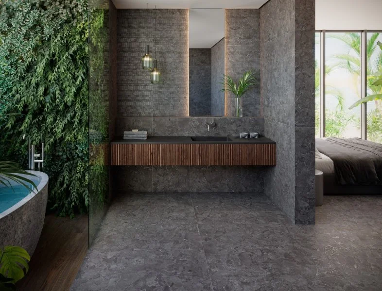 Aracruz Collection