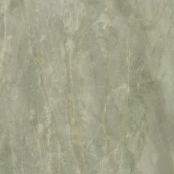 Anima Ever Sage Polished 24x48x9mm Marble Look Porcelain Tile