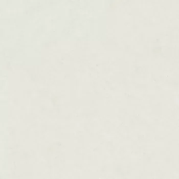Rectangular 24x48 inch porcelain tile in Ice color, featuring a soft textured stone look.