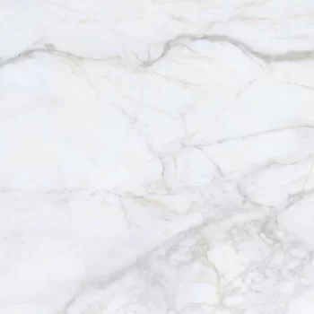 Salvia polished porcelain tile with marble look, large format, 24x48 inches.