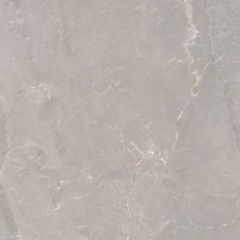 Large format 24x48 matte porcelain tile in iron grey with a stone look.